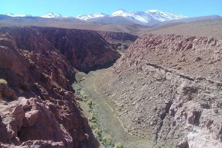 Tatio Geysers
