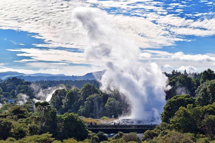 オークランド発テ・プイア地熱ワンダーランドプライベートツアー