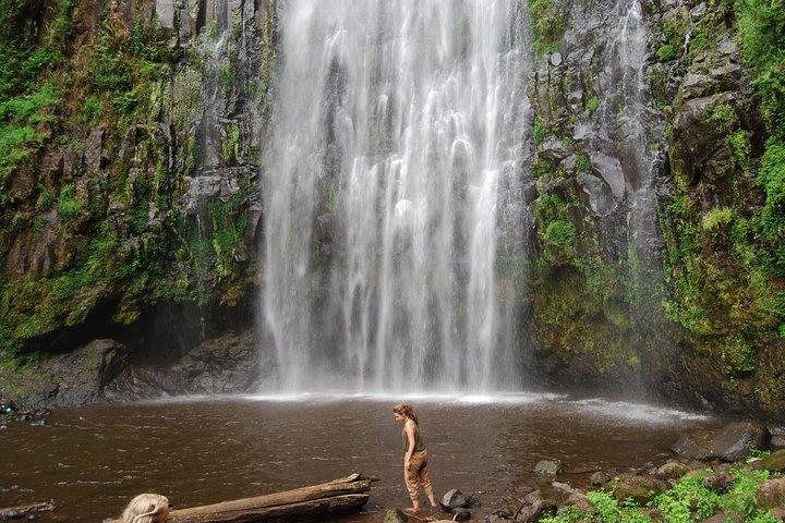 Passeios de um dia COMBO com Materuni, Kikuletwa, Lago Jipe, Maasai Boma e Parque Arusha N.