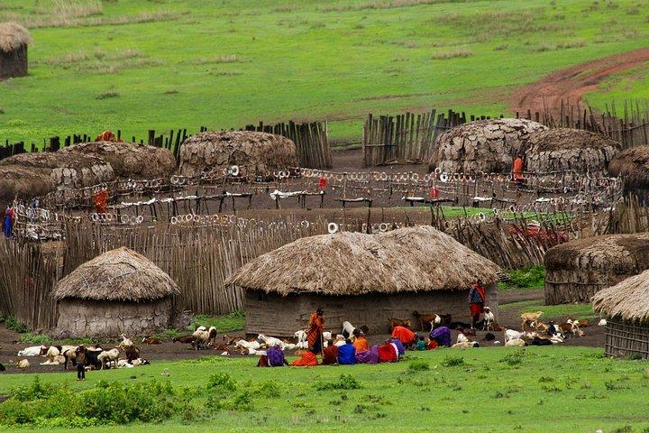 Passeios de um dia COMBO com Materuni, Kikuletwa, Lago Jipe, Maasai Boma e Parque Arusha N.