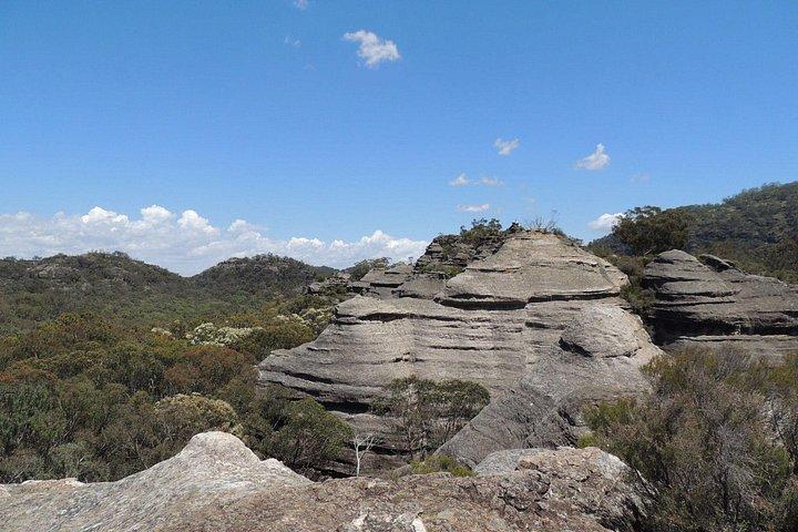 The Explorers' Discovery Small Group Tour - Gold, Wine & Wildlife