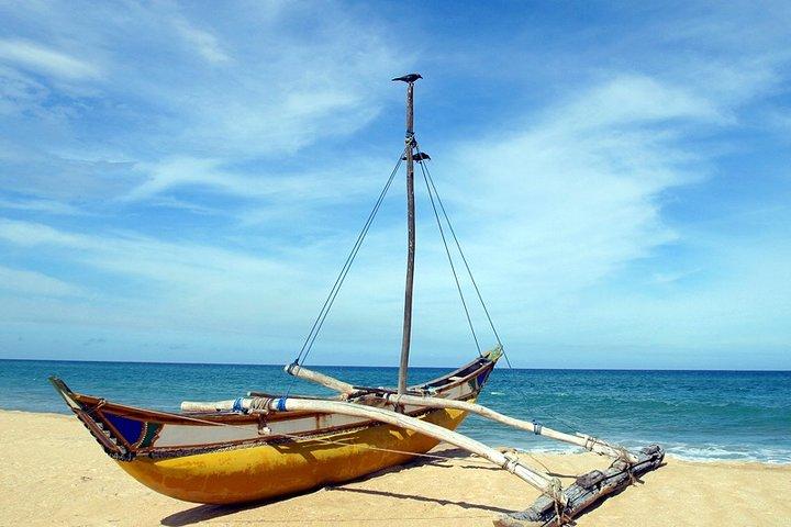 Det bedste fra East and Surf - Sri Lanka (10 N / 11 D)