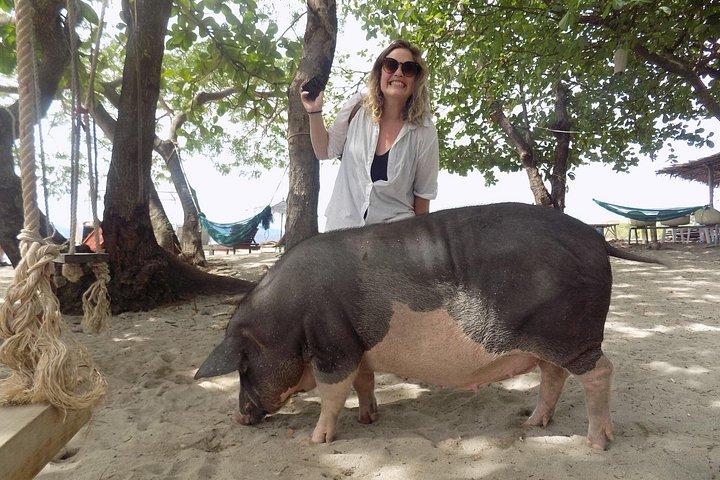 サムイ島からスピードボートでマドサム島とタン島でのシュノーケリングとカヤック旅行