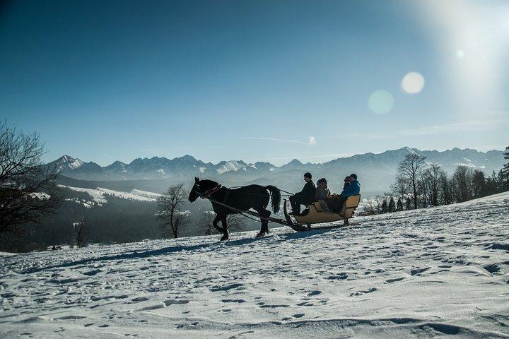 Zakopane och Horse Sleigh Ride på landsbygden, privat tur från Krakow
