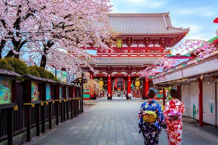 出発プライベート送迎：バンで東京から羽田空港HNDへ
