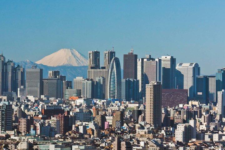 空港送迎：ラグジュアリーバンで東京市内から成田空港までNRT