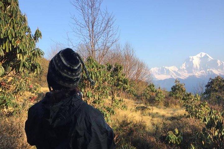Nem vandretur til Sarangkot