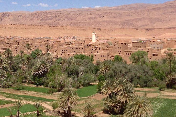 Marrakech à Ouarzazate : excursion privée d'une journée à la Kasbah Ait-ben-hadou
