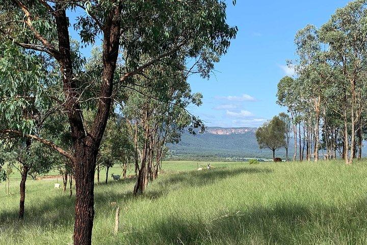The Explorers' Discovery Small Group Tour - Gold, Wine & Wildlife