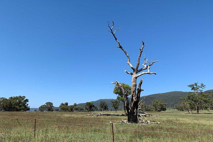 The Explorers' Discovery Small Group Tour - Gold, Wine & Wildlife