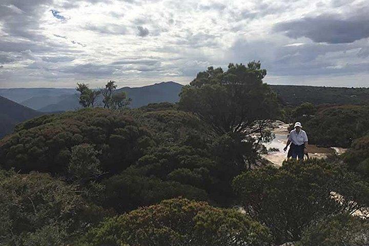 The Explorers' Discovery Small Group Tour - Gold, Wine & Wildlife
