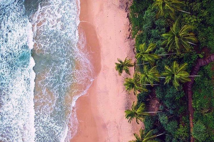 Paradise Sri Lanka (10N / 11 D)