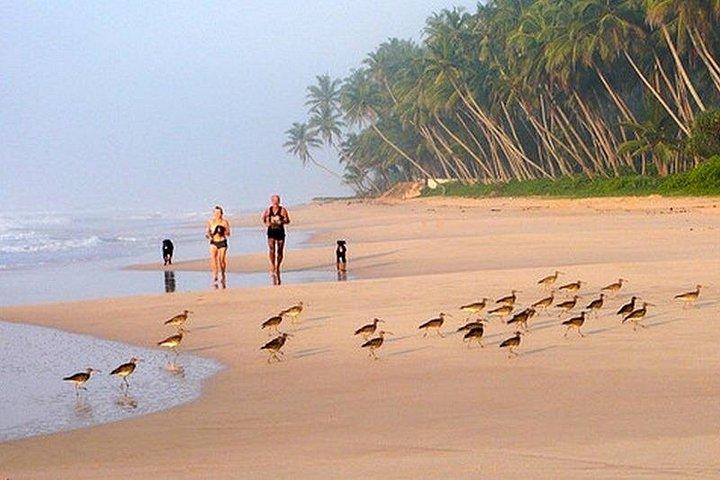 Paradise Sri Lanka (10N / 11 D)