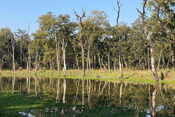 3 Nights 4 Days Comfortable Chitwan Safari Tour