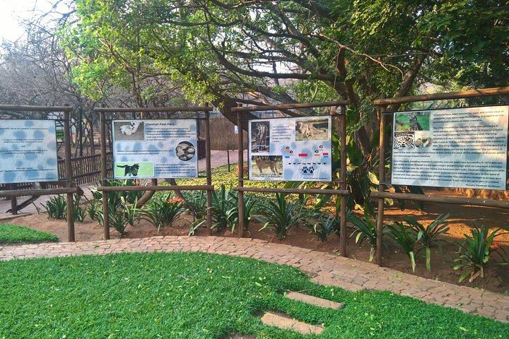 Ann Van Dyk Cheetah Centre an exciting conservation project!