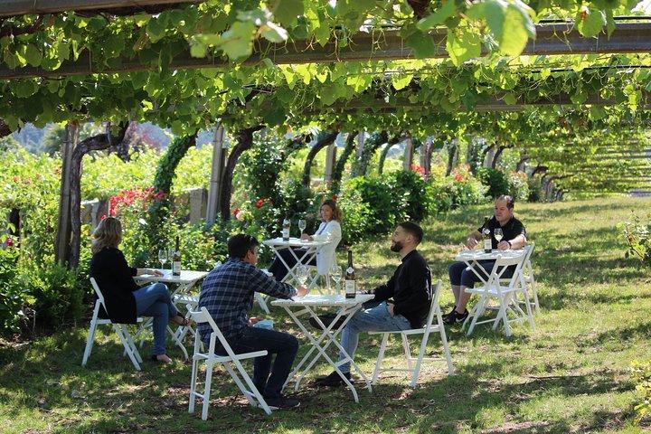 Omvisning i Bodegas Granbazán