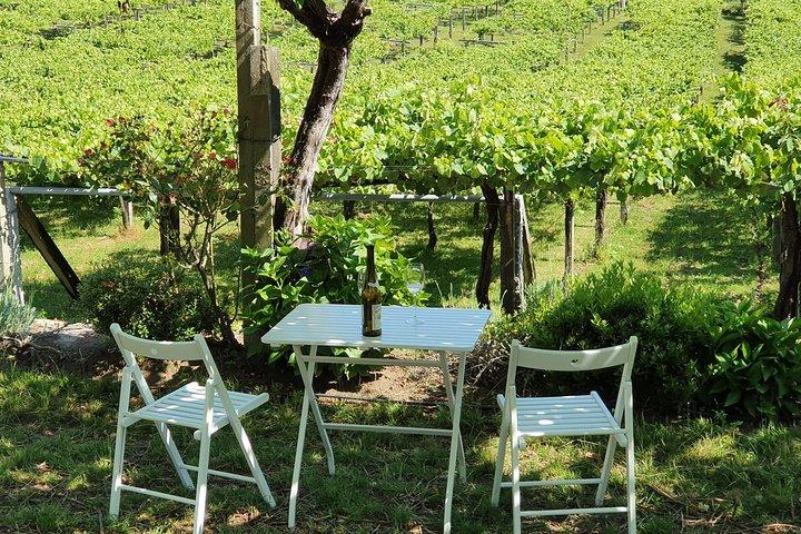Omvisning i Bodegas Granbazán