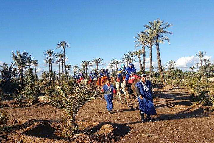 Kamelritt in Marrakech Palm Grove