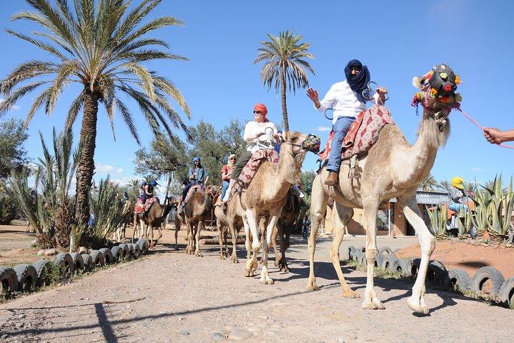 Kamelritt in Marrakech Palm Grove