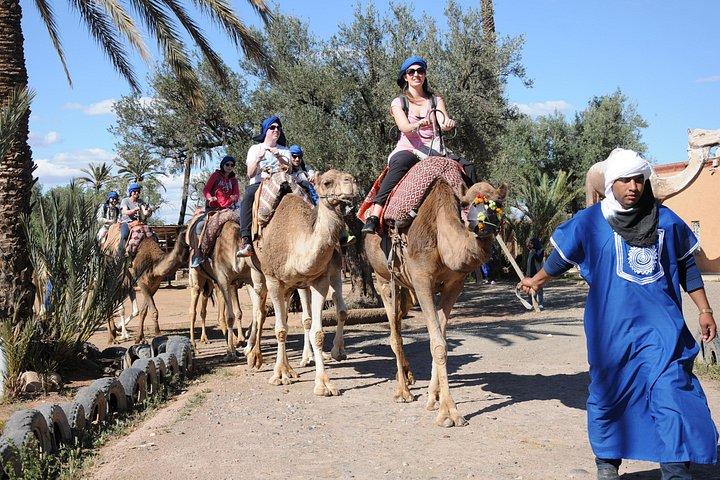 Kameltur i Marrakech Palm Grove