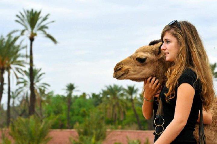 Desert Agafay och Atlas Mountains & Camel ride Day Trip Från Marrakech