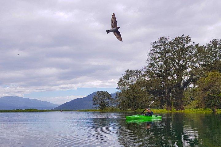 Yojoa Lake Day Trip da Tegucigalpa