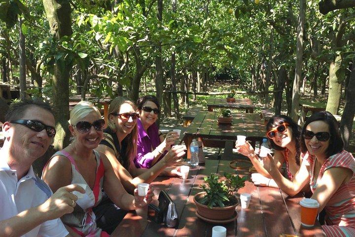 Sorrento Food Tours Limoncello Fabriek & Lemon Grove 12 + Proeverijen