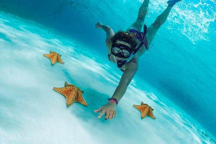 Explorez El Cielo à Cozumel. Faites de la plongée avec tuba dans 3 récifs différents et visitez la plage de Cielito.