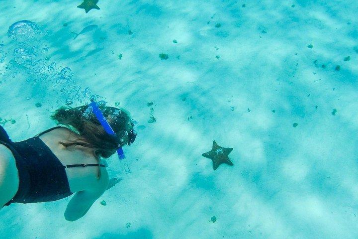 El Cielo Cozumel, a paradisiacal tour. Be amazed by the stars near to you.