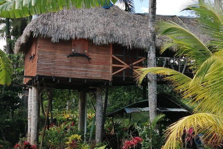 Ecological Park & Boat ride on the River
