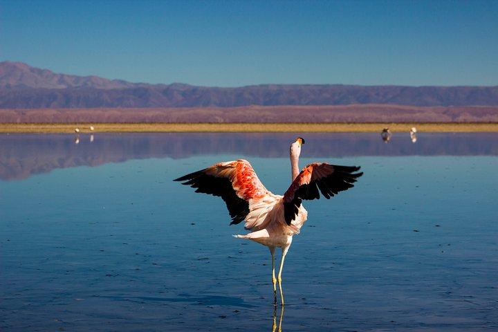 Full Atacama - SORBAC (private groups)