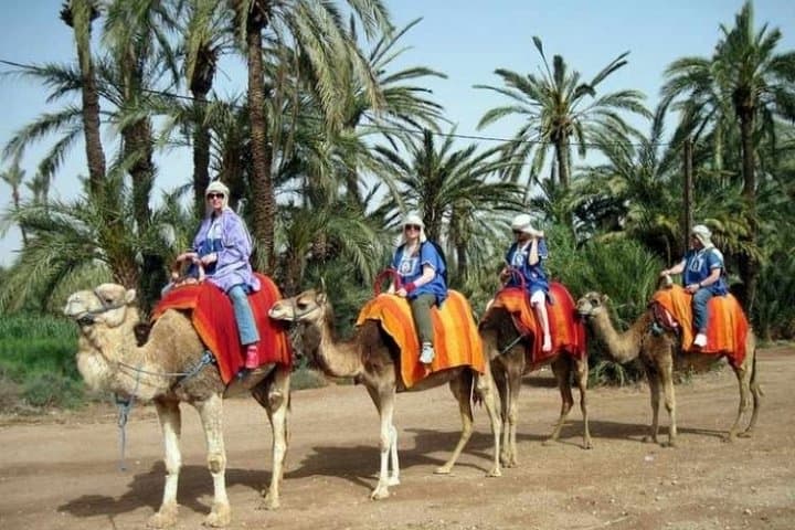 Marrakech Palmeraie: Camel Ride at Sunset