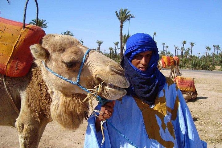Marrakech Palmeraie: Camel Ride at Sunset