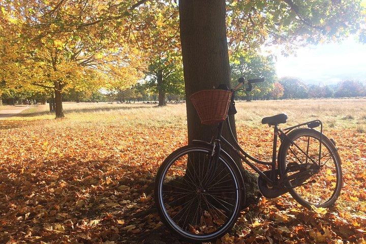 Hampton Court Palace Grounds Bike Tour