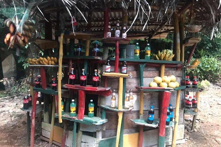 Visite privée des points forts d'Ocho Rios avec prise en charge