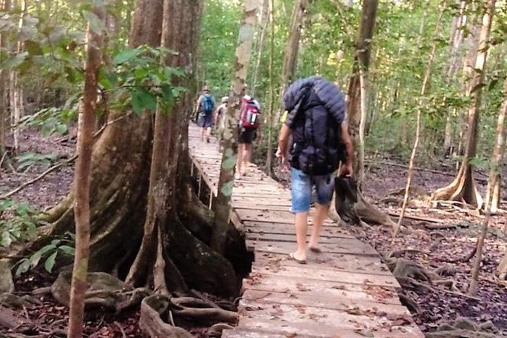 Guidet Darien Jungle Experience - 5 dage / 4 nætter