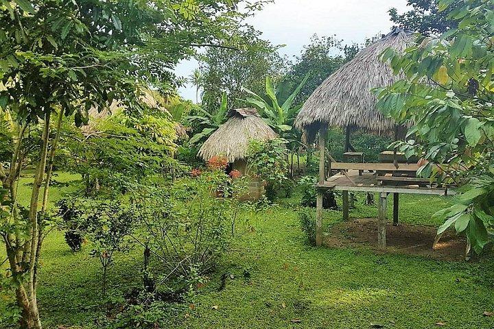 Guided Darien Jungle Experience - 6 Days / 5 Nights