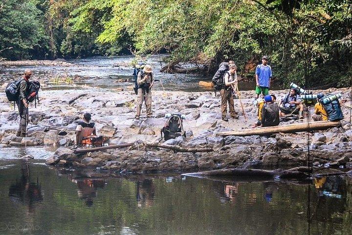 Guided Darien Jungle Experience - 6 Days / 5 Nights