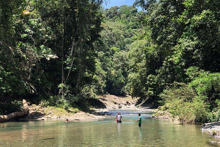 Guided Darien Jungle Experience - 6 Days / 5 Nights