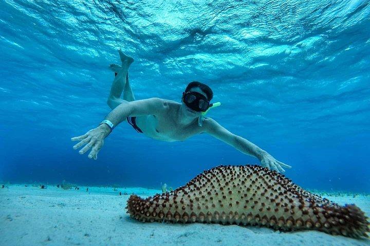 El Cielo Cozumel、楽園ツアー。あなたの近くの星に驚かされます。