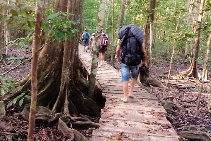 Guided Darien Jungle Experience - 6 Days / 5 Nights