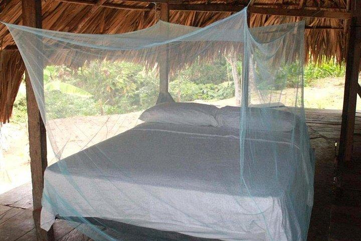 Guided Darien Jungle Experience - 6 Days / 5 Nights