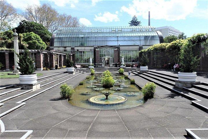 Half-Day: Small Group Auckland Scenic Tour - 4 HOURS