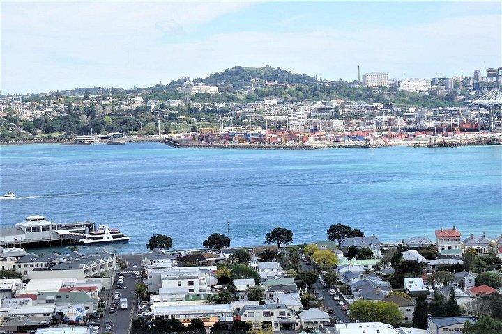 Half-Day: Small Group Auckland Scenic Tour - 4 HOURS