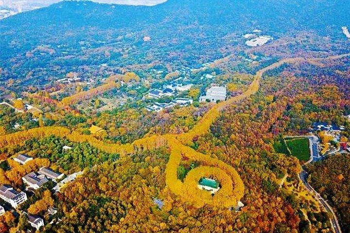 明孝陵と中山陵の4時間南京プライベートツアー