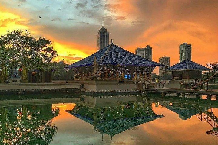 Sri Lanka Leopard Trail (15 N/ 16 D)