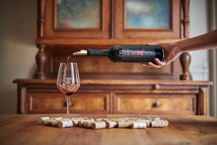 ペルヴィーノ・ワイン体験：イストリアの味を発見