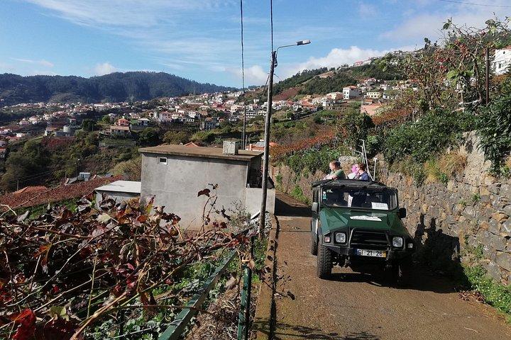 Real Life, Mountains & Sea Cliffs + Lunch + Levada walk - 6 hours
