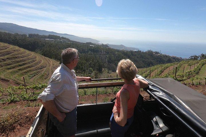 Real Life, Mountains & Sea Cliffs + Lunch + Levada walk - 6 hours