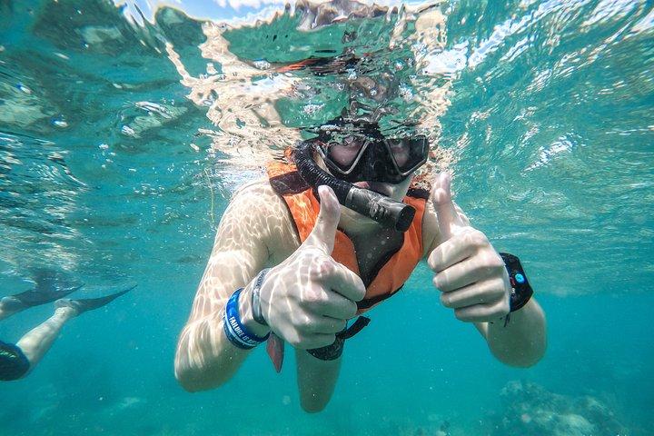 カンクン海域でのスピードボートアドベンチャー